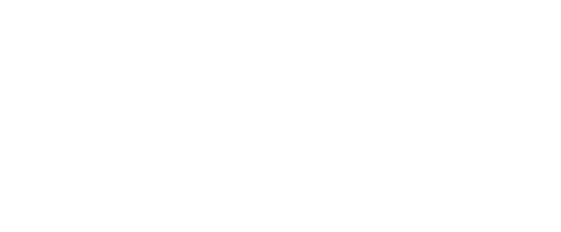 その日の味を楽しむメニュー
